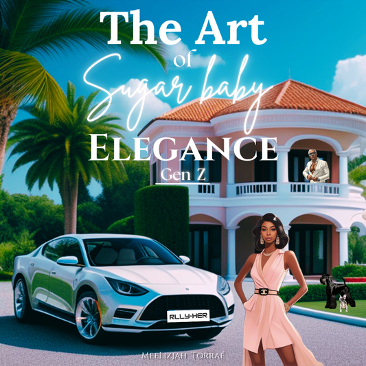 ✨ Sugar Baby Guidebook